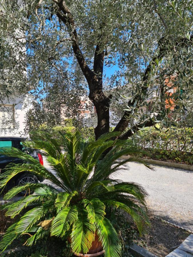 Appartamento Le Peonie Riva del Garda Esterno foto