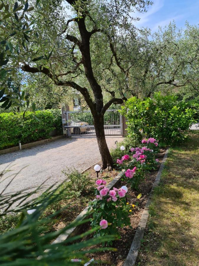 Appartamento Le Peonie Riva del Garda Esterno foto